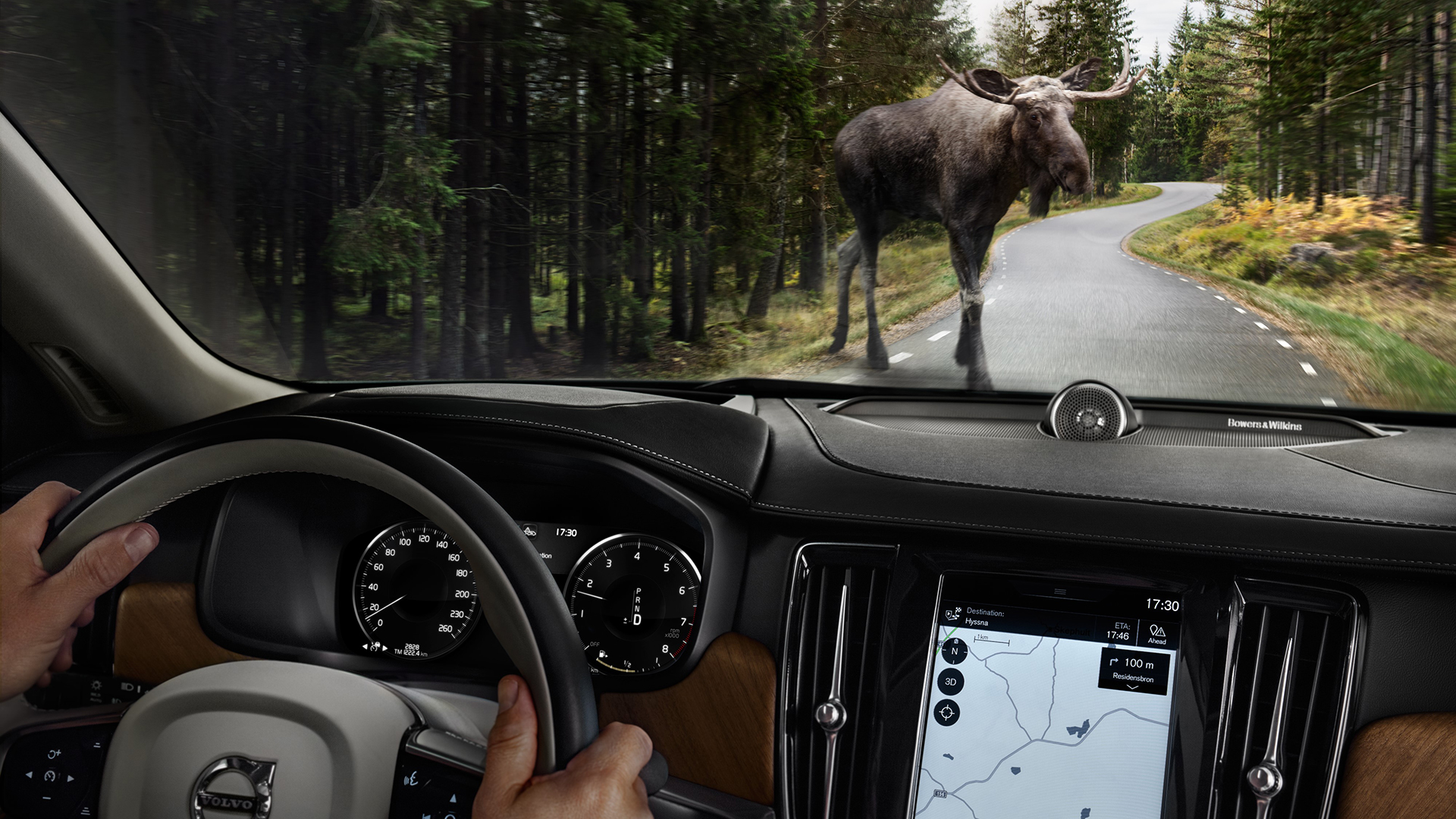 Sees large animals in your path