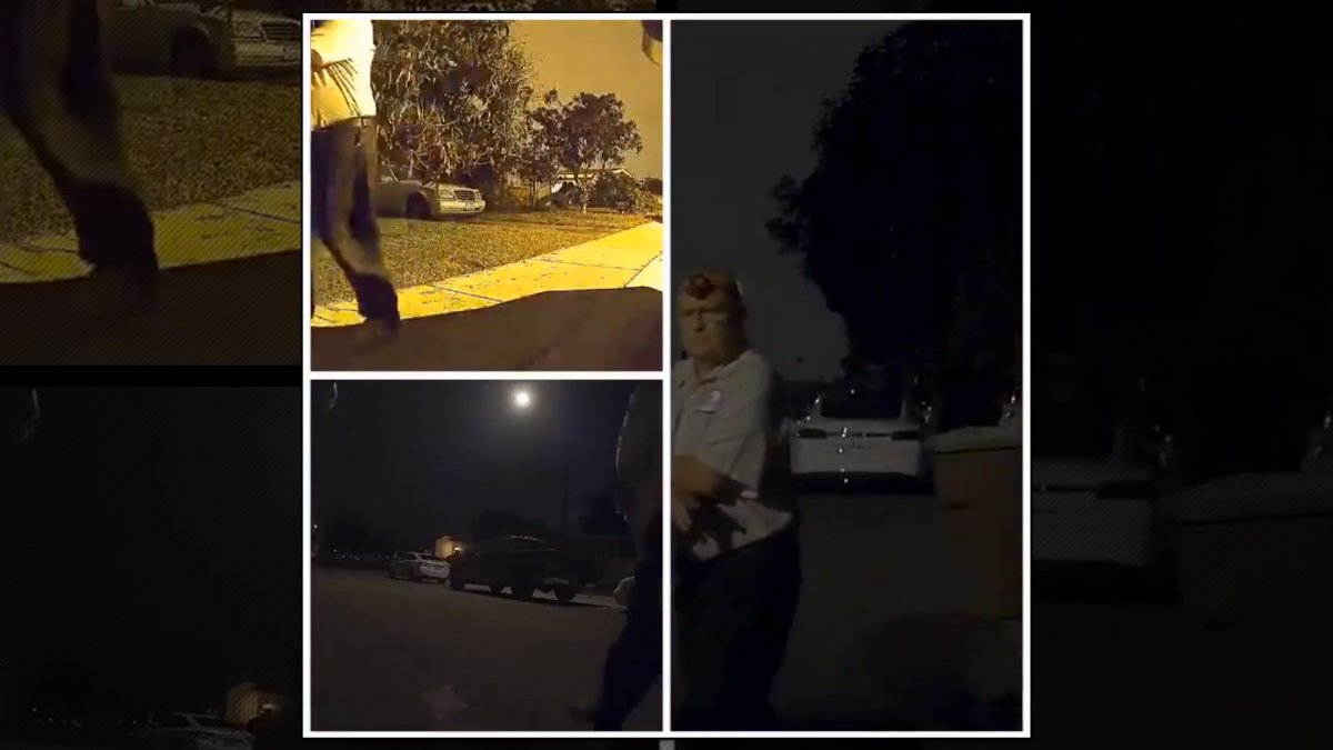 Sentry Mode Cameras Catch Evil Neighbor Spraying Acid on Tesla Model 3 ...