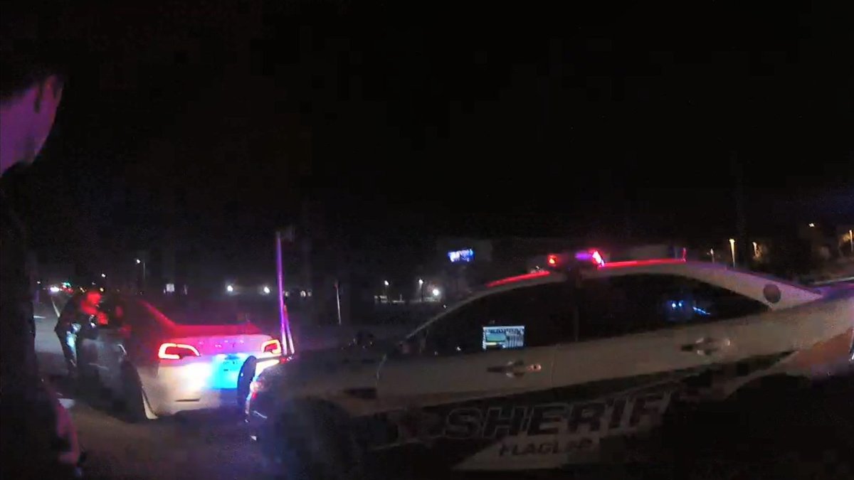 Teens in Rented Tesla Model 3 Crash Into Cop Car, Try Blaming It on ...