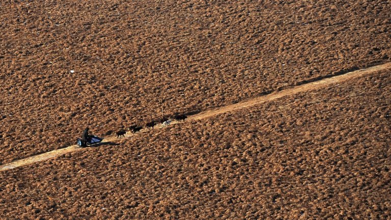 The Evaporating Iditarod