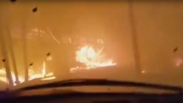Driving Through a Tennessee Wildfire Looks Like Hell on Earth