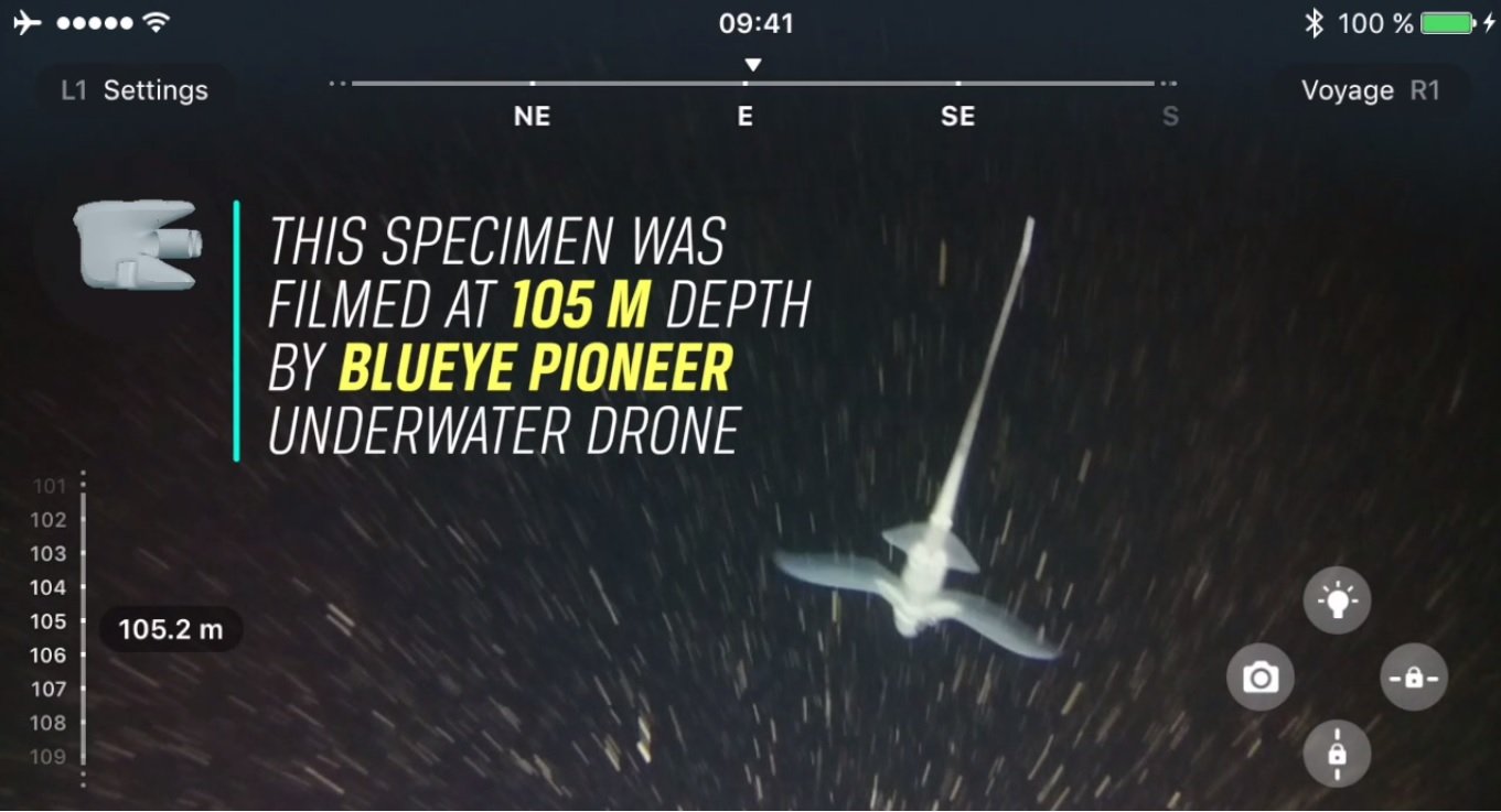 Blueye Robotics Is Pioneering the Underwater Drone