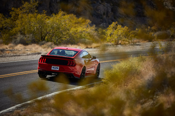 message-editor%2F1540831797859-mustang_03.jpg